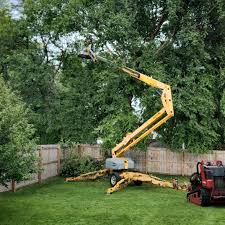 Best Lawn Watering Services  in Browns Mills, NJ